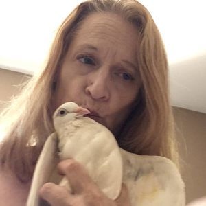 Meet your Posher, Diane